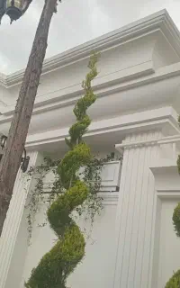نمای سیمانی