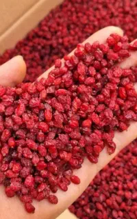 زرشک پفکی لوکس