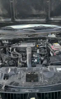 سمند مدل 81 دوگانه سوز