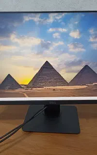 dell p2419