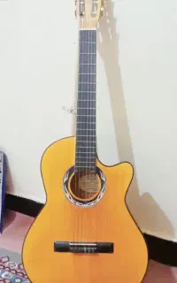 گیتار کلاسیک ۲۸۰۰ م