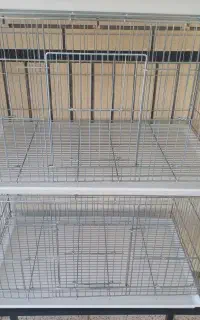 قفس پرورشی طوطیسانان