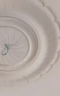 گچ کار