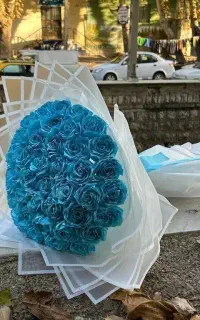 گـل ربانی امـوزش