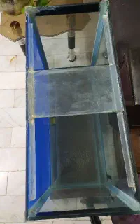 آکواریوم ماهی