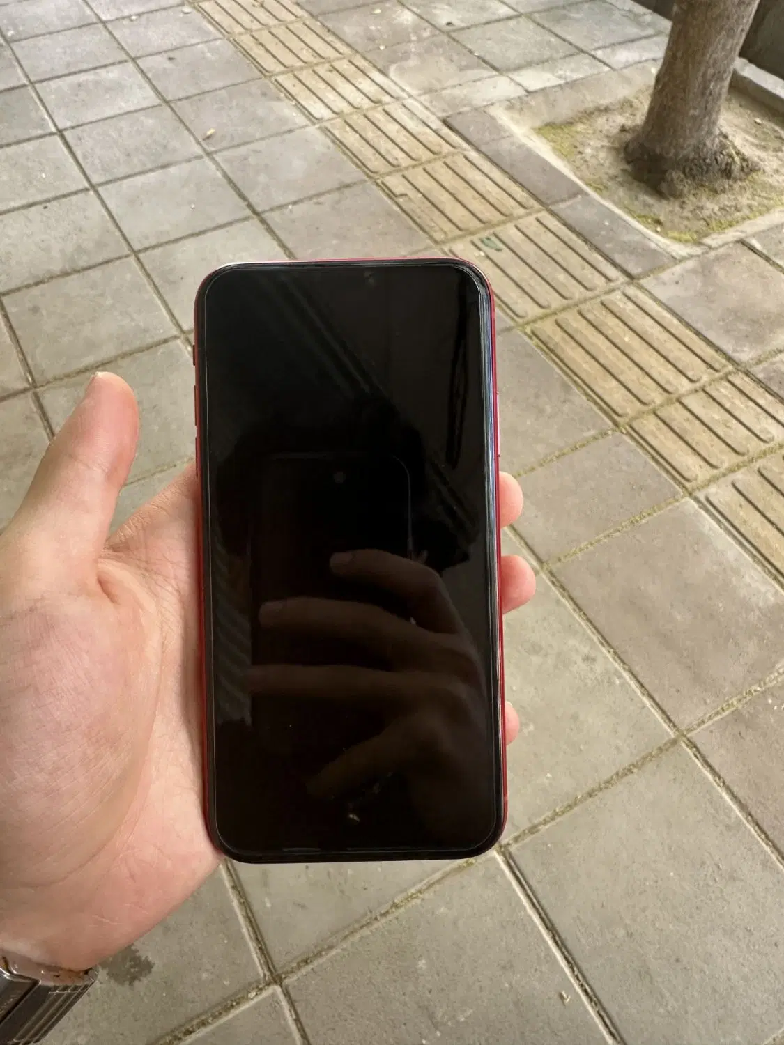 ایفون xr|موبایل|الوند, |دیوار