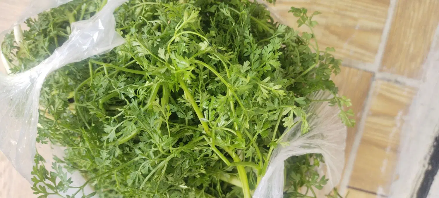 برزا|خوردنی و آشامیدنی|جوانرود, |دیوار