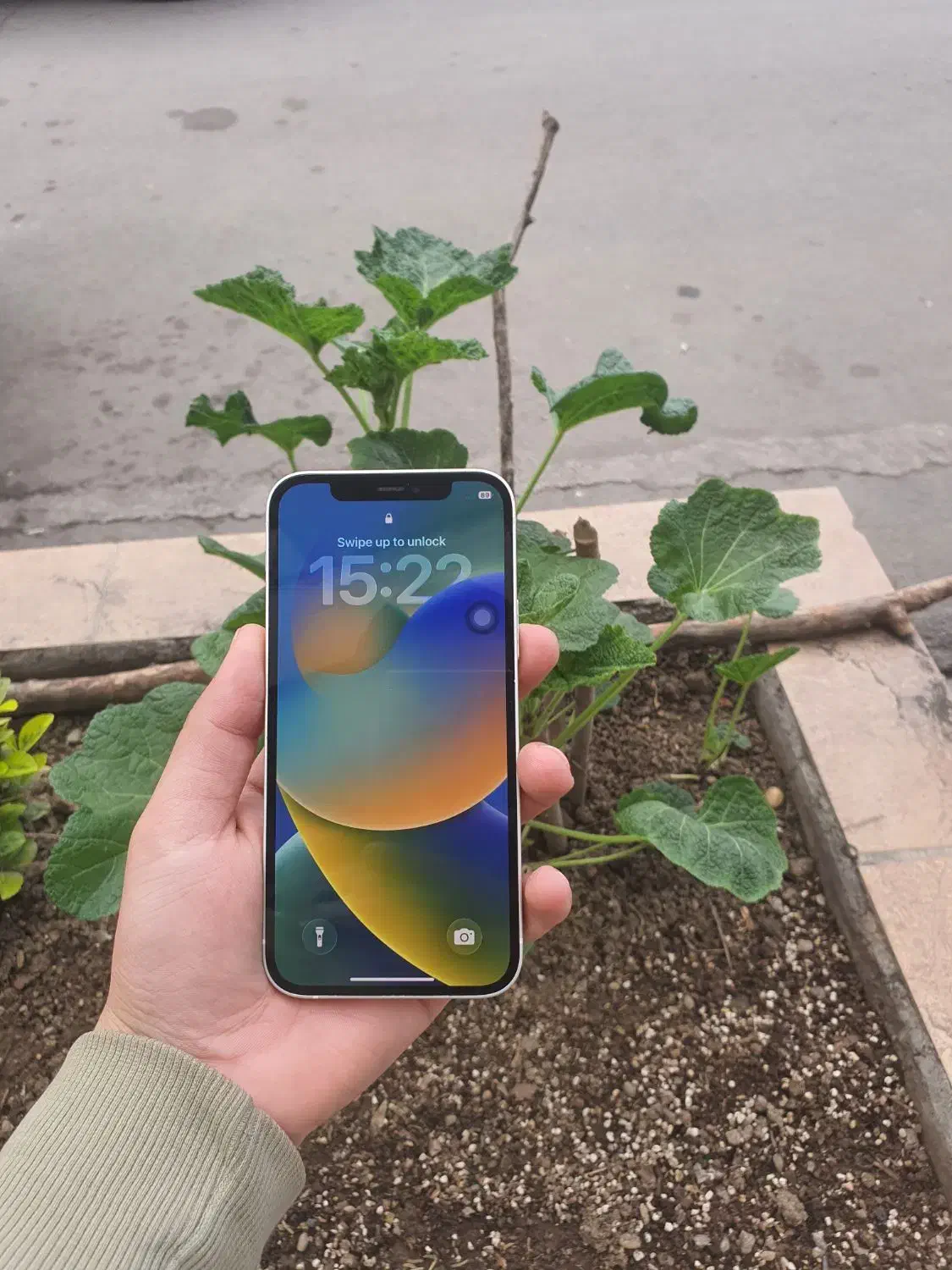 apple|موبایل|قزوین, |دیوار
