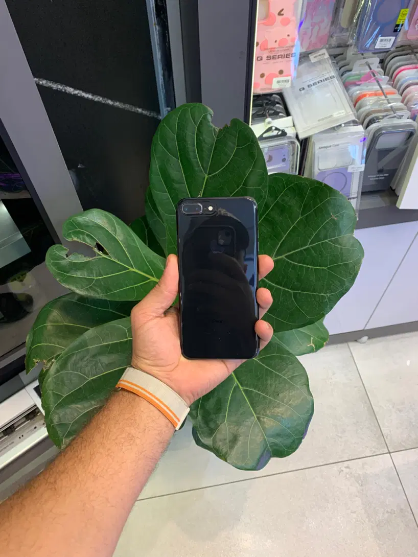 Iphone 8 plus|موبایل|رشت, چله خانه|دیوار