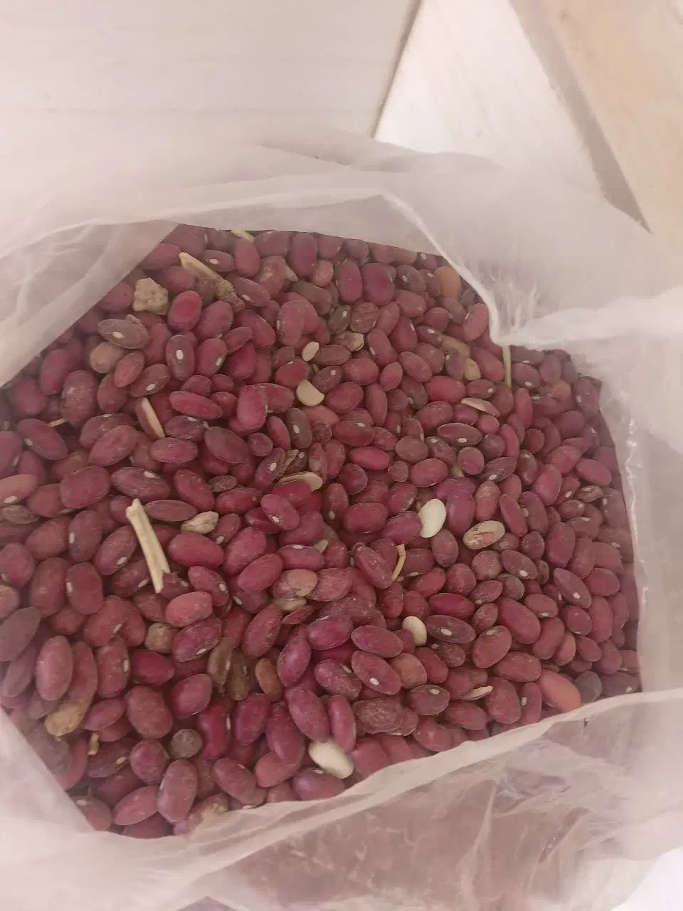 لوبیا|خدمات باغبانی و درختکاری|الشتر, |دیوار