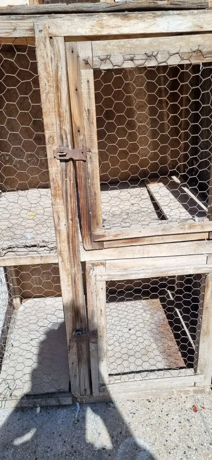 جفت کن|لوازم جانبی حیوانات|تهران, آهنگ|دیوار