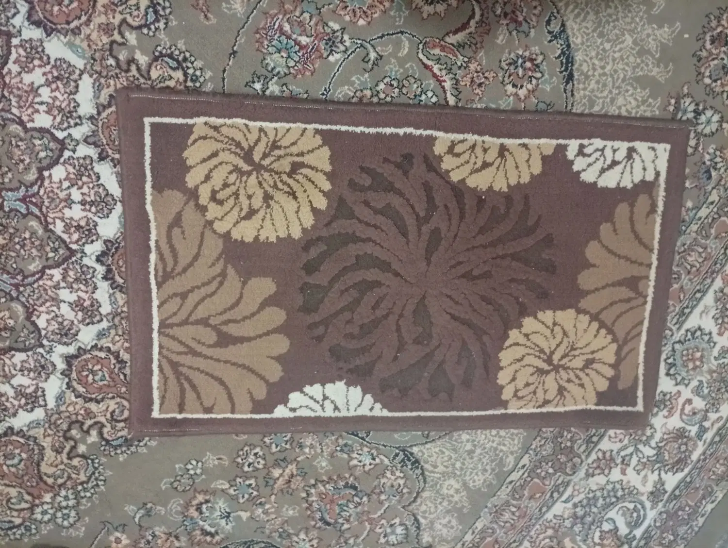 پادری|پادری|مشهد, شهید معقول|دیوار