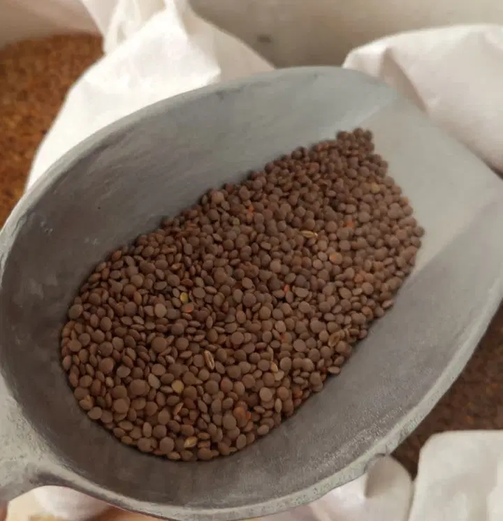 حبوبات|خوردنی و آشامیدنی|شیراز, تندگویان|دیوار