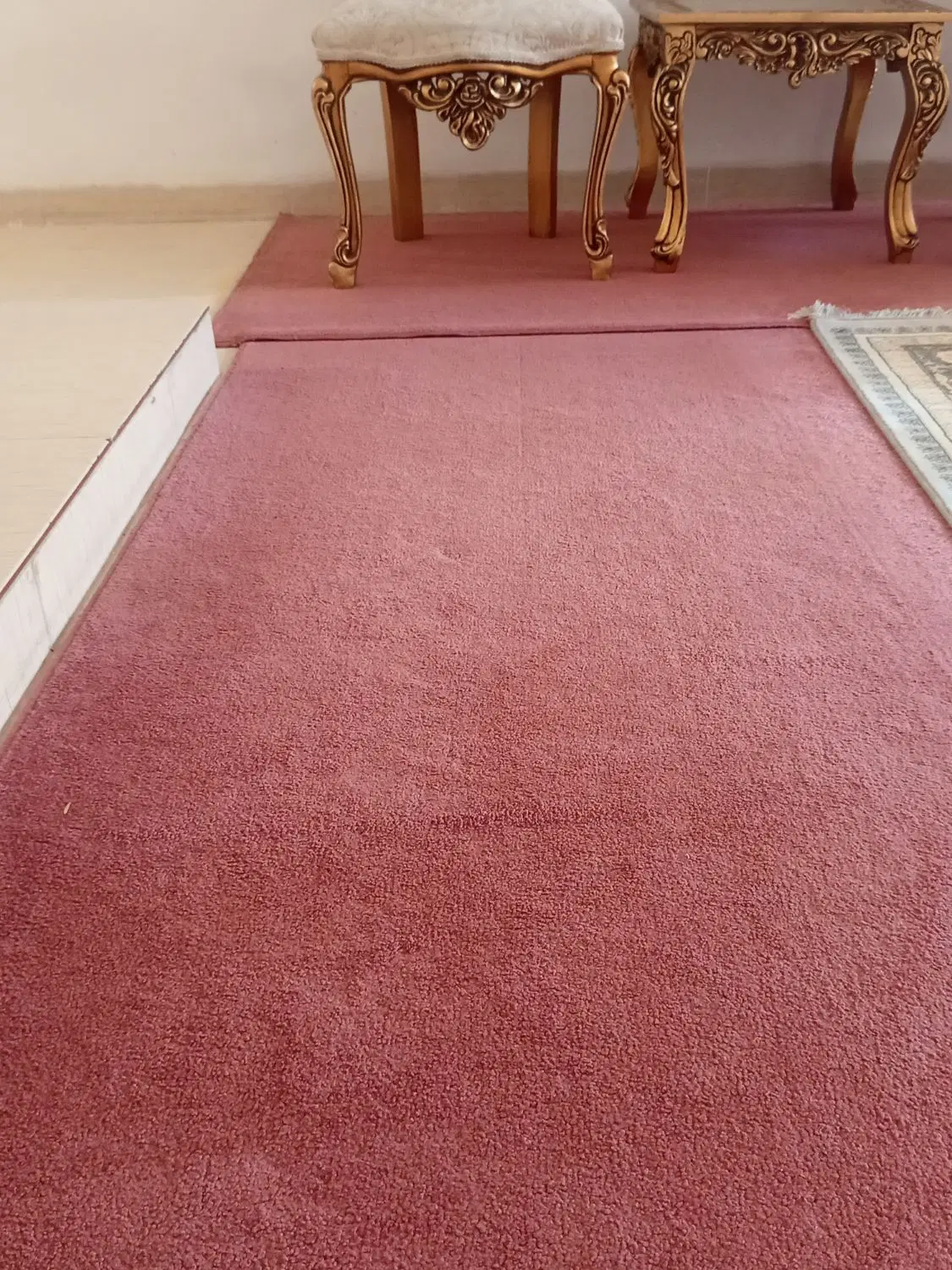 موکت|موکت|ایلام, |دیوار