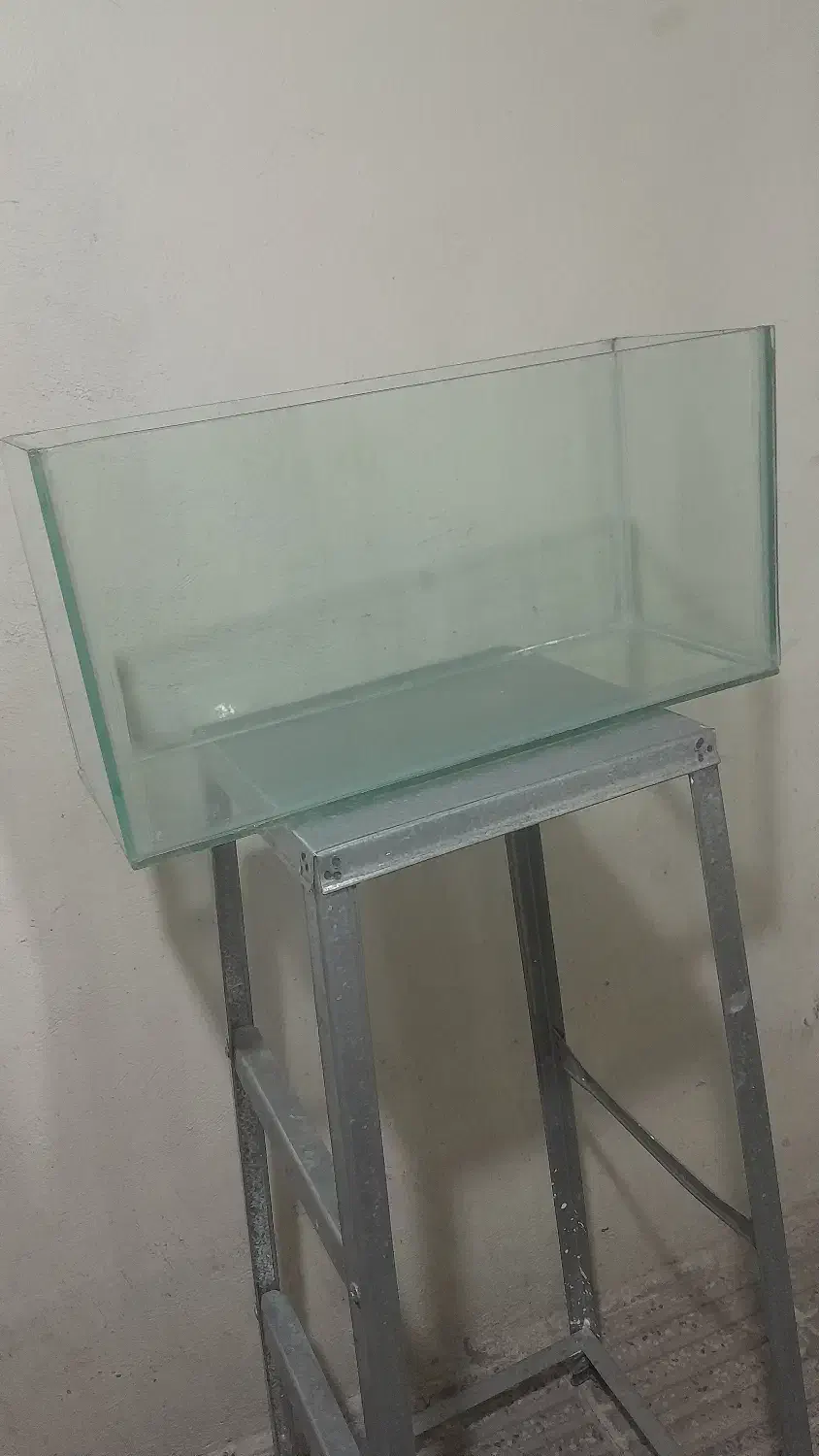 آکواریوم|ماهی|تهران, مینابی|دیوار