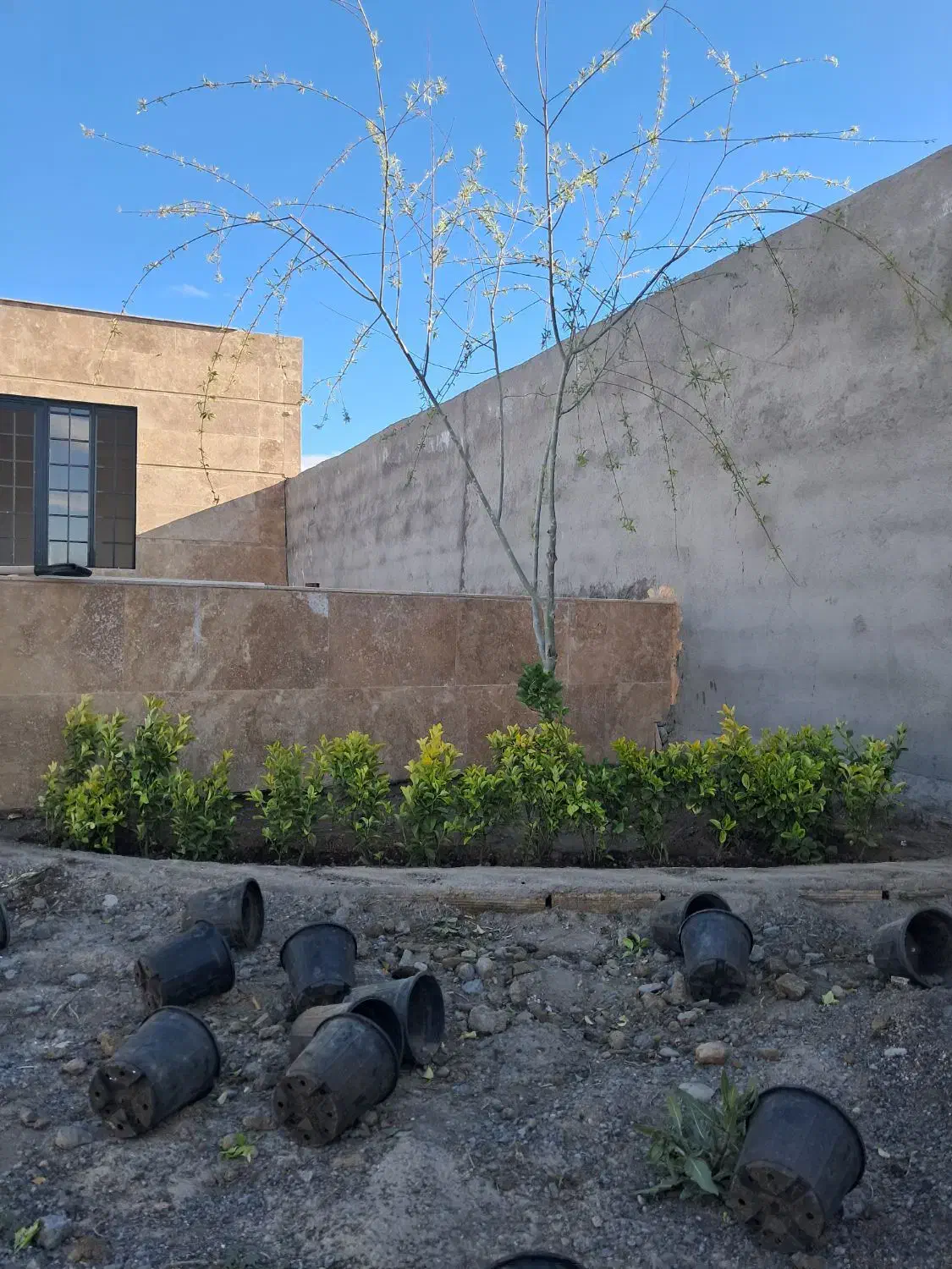 تصویر 2