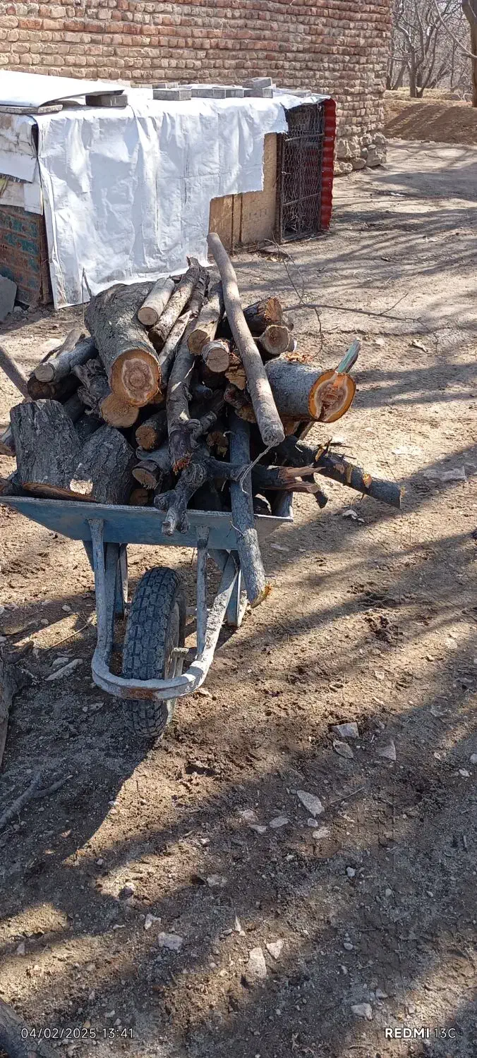 خرید فروش چوب|خدمات باغبانی و درختکاری|مراغه, |دیوار