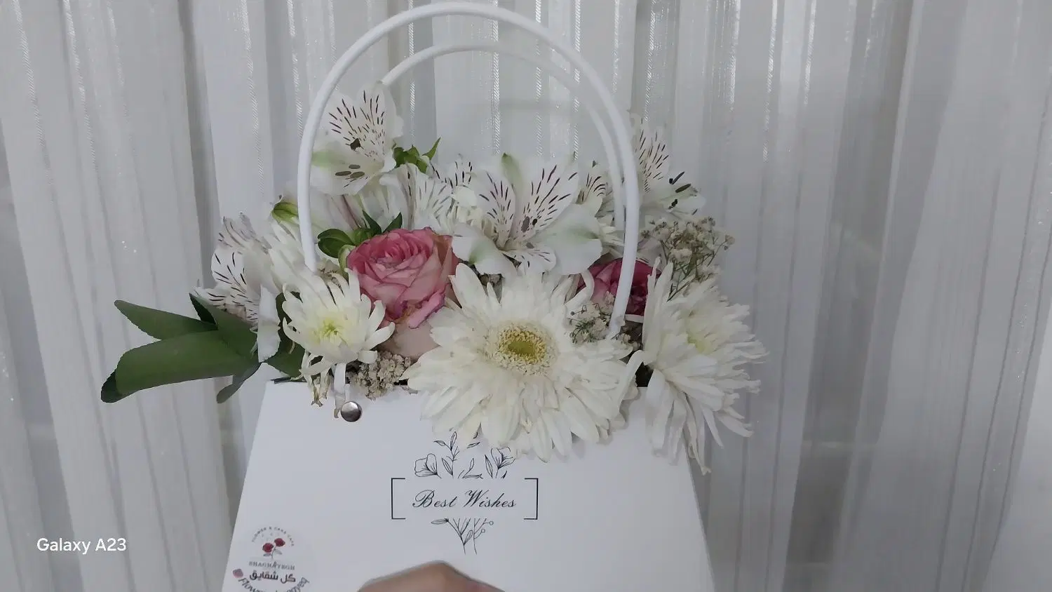 گل طبیعی|گل و گیاه طبیعی|قم, لسانی|دیوار