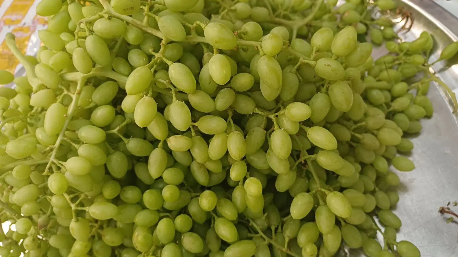 غوره|خوردنی و آشامیدنی|سنندج, |دیوار