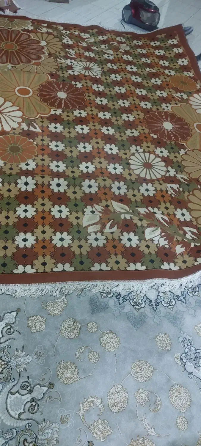 گلیم|گلیم، جاجیم، گبه|مشهد, شفا|دیوار