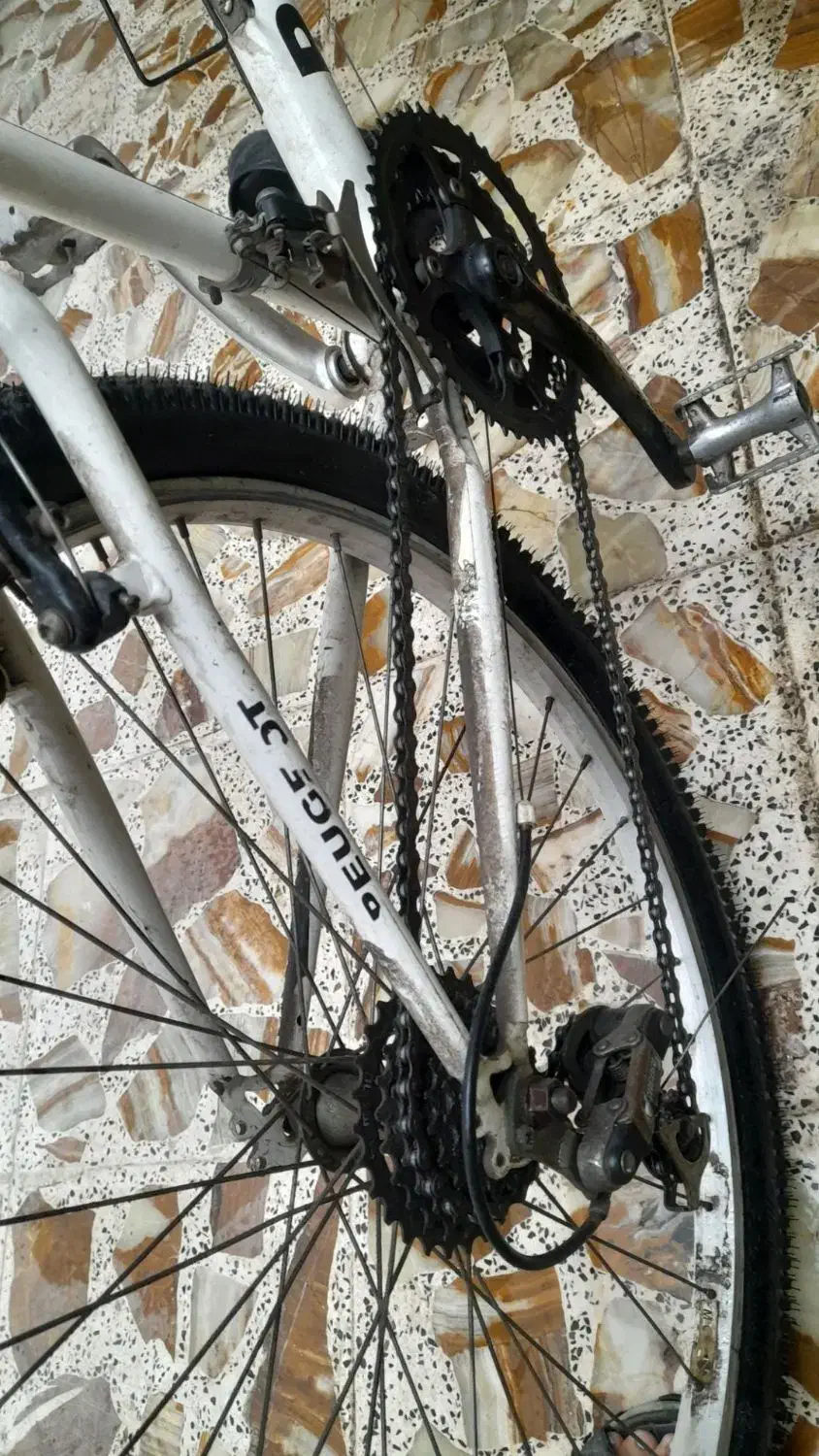 دوچرخه|دوچرخه، اسکیت، اسکوتر|رشت, نخودچر|دیوار