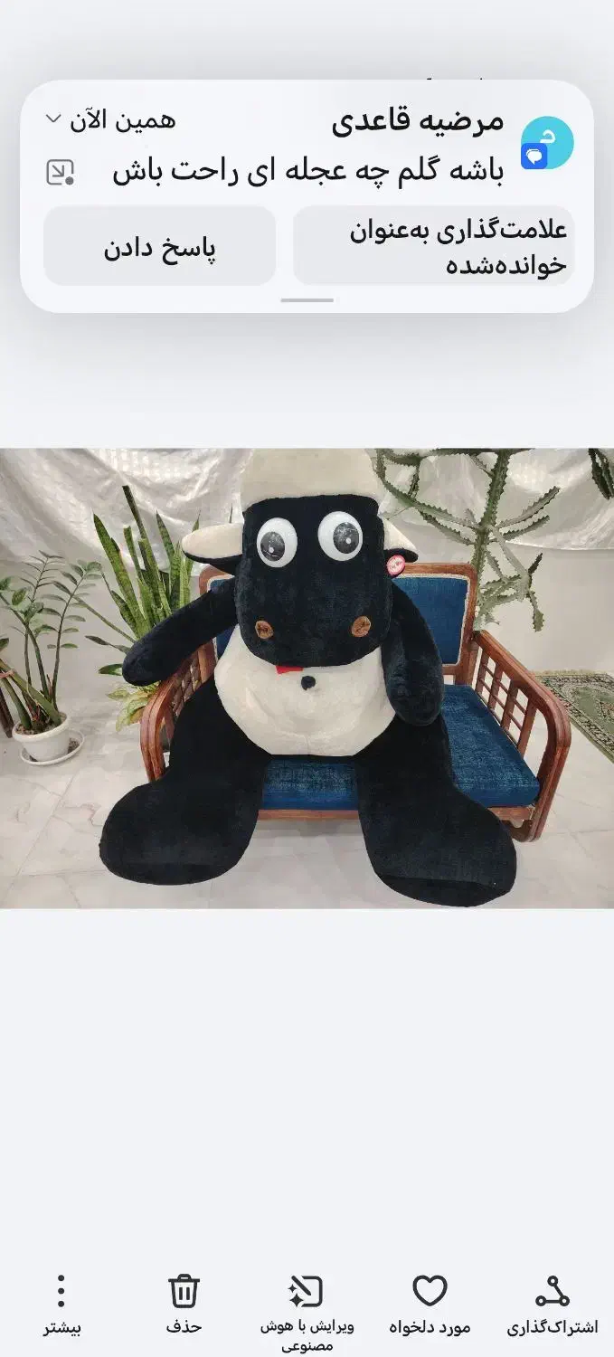 عروسک|اسباببازی بچه|بوشهر, |دیوار