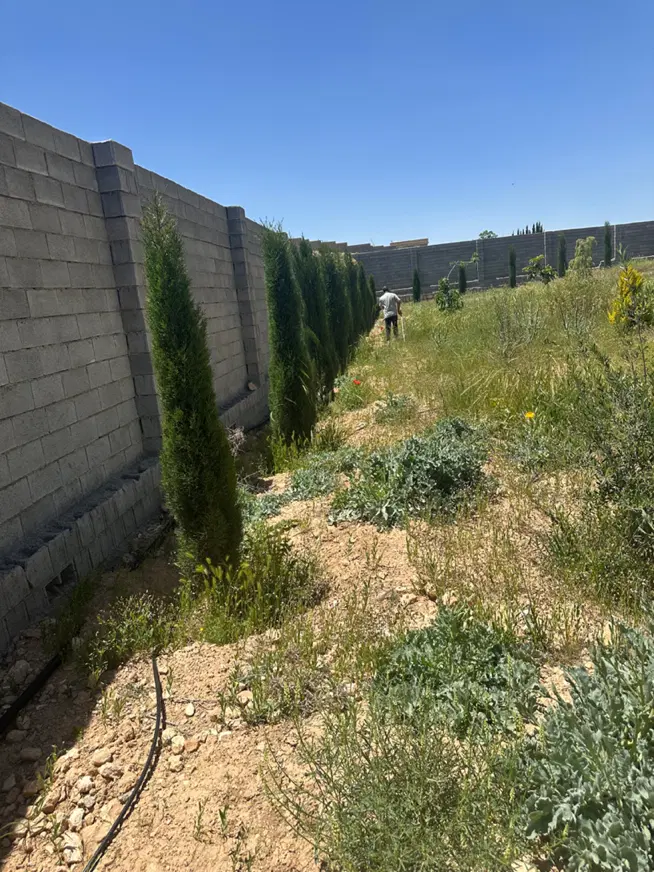 تصویر 2