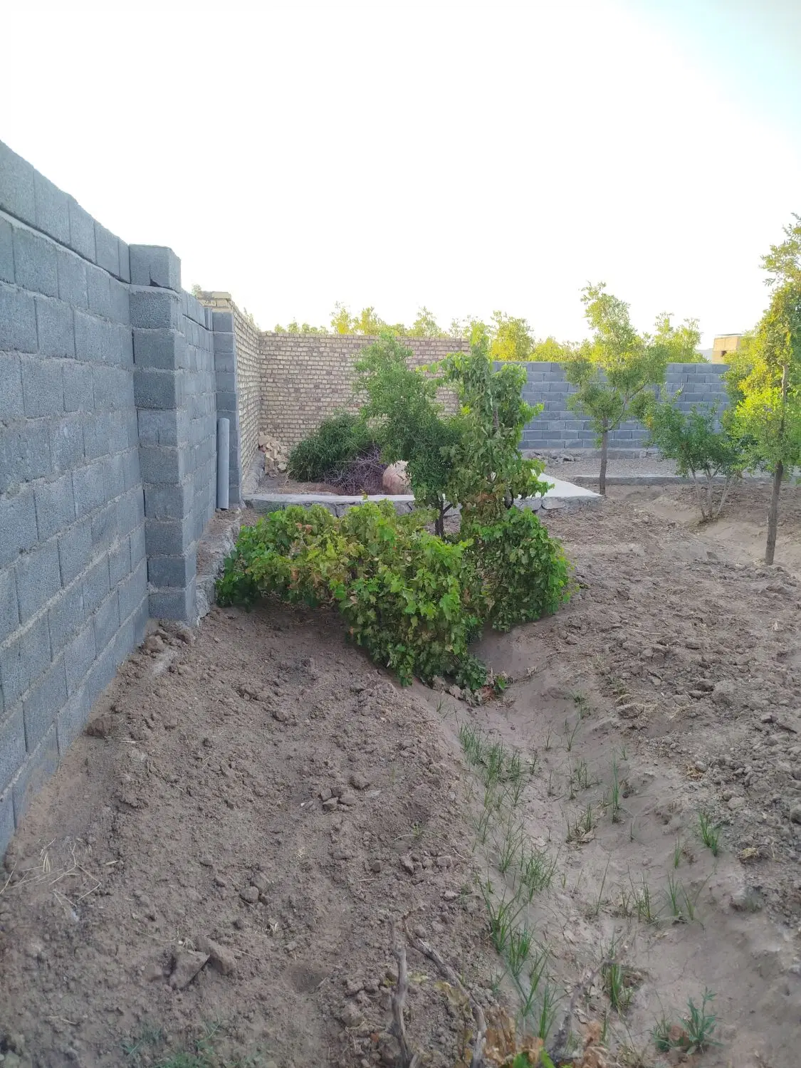 تصویر 9