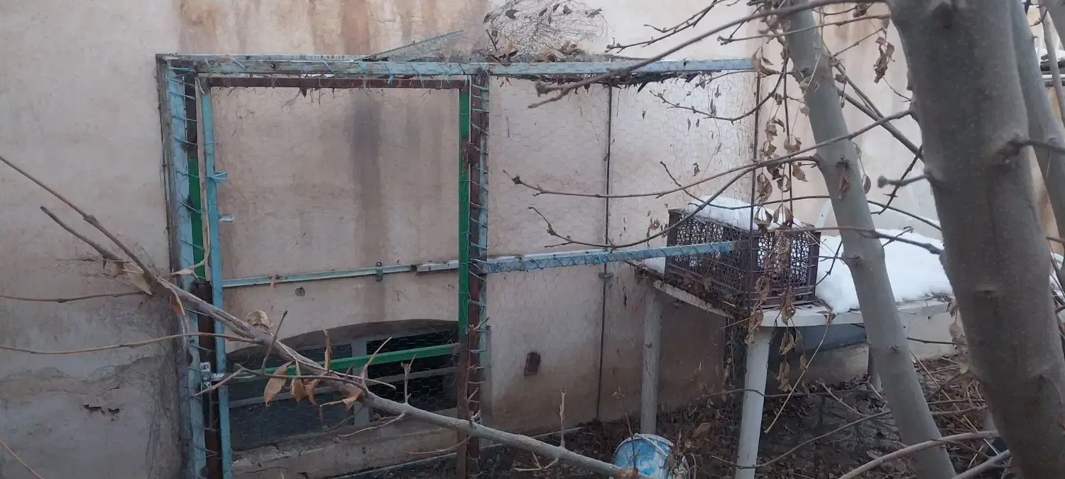 قفس آهنی|لوازم جانبی حیوانات|نیشابور, خیام|دیوار