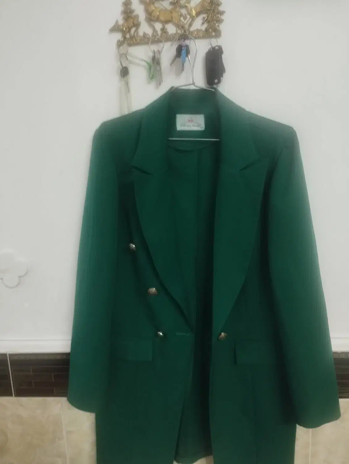 کت. تک|لباس|خزل, |دیوار