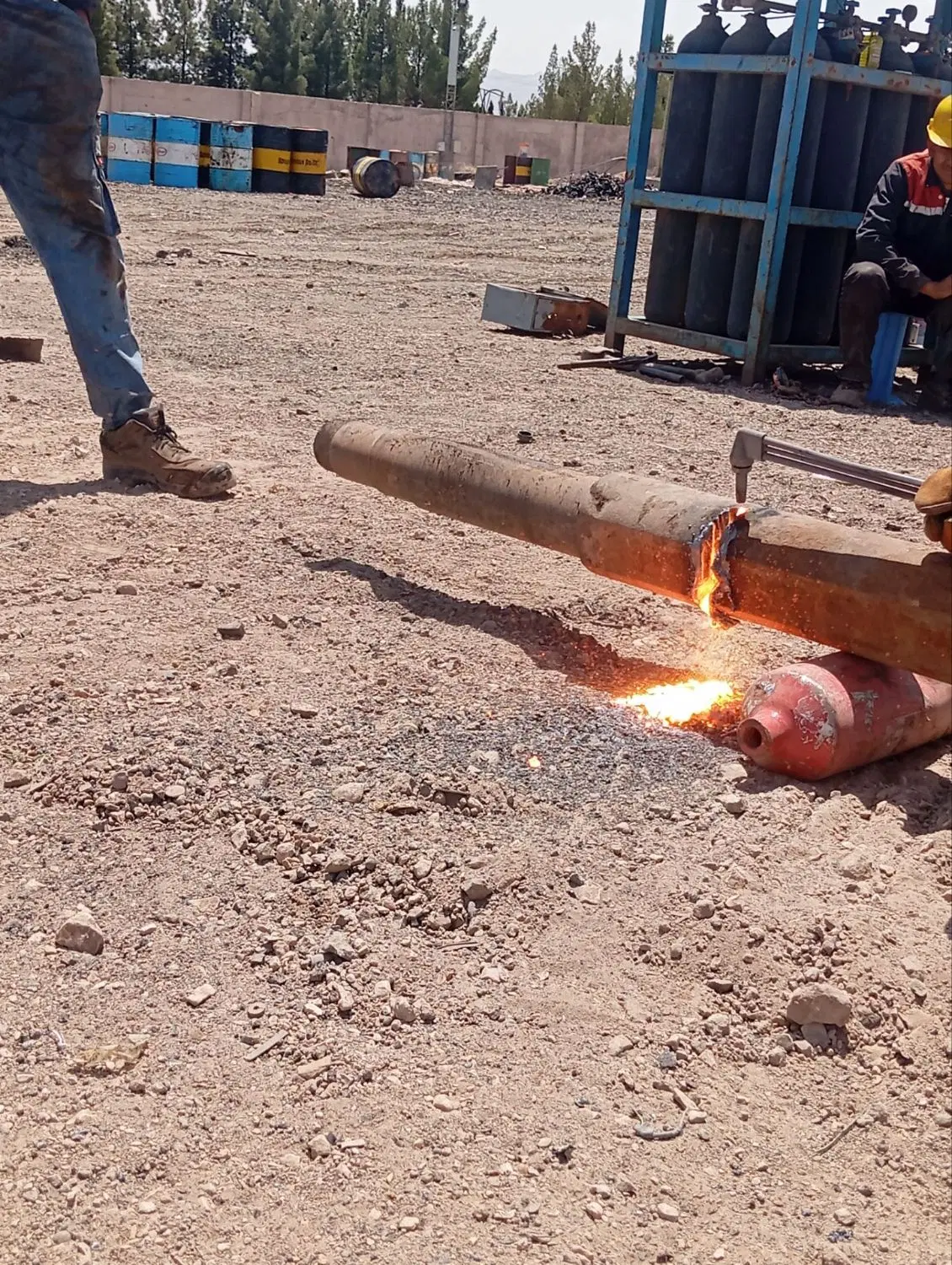 برشکار|استخدام صنعتی، فنی، مهندسی|کرمان, |دیوار