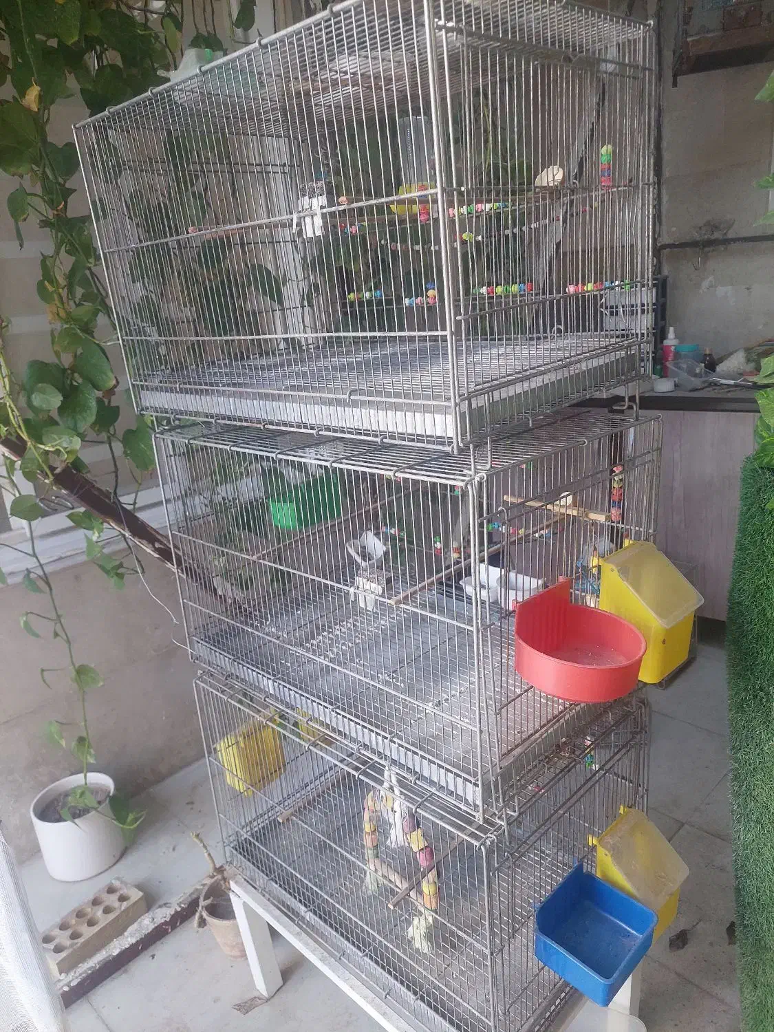 ۳ عدد قفس|لوازم جانبی حیوانات|سیرجان, |دیوار