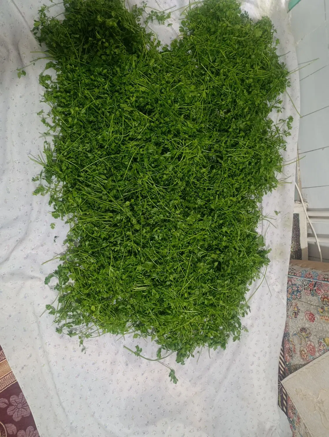 سبزی|خوردنی و آشامیدنی|بیرجند, |دیوار