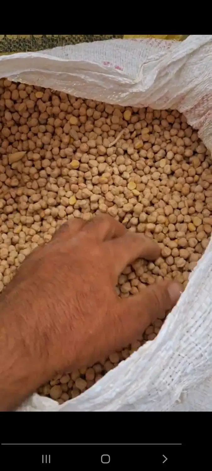 نخود|خوردنی و آشامیدنی|بروجرد, |دیوار