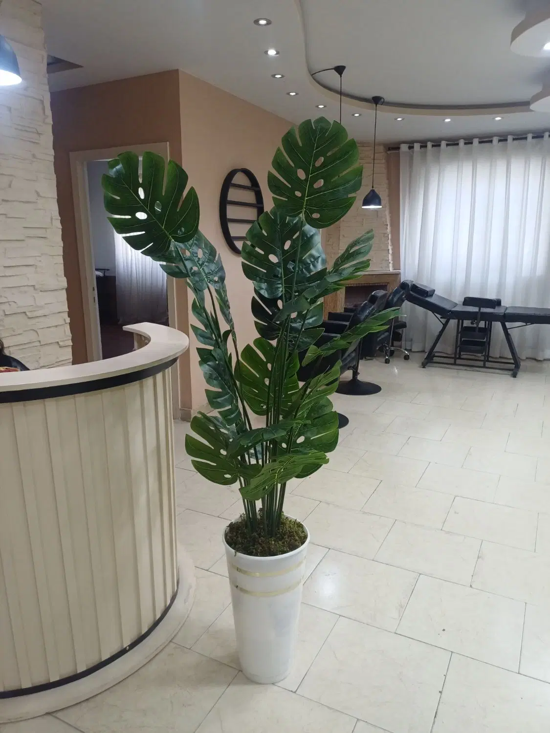 درختچه|گل مصنوعی|رشت, استادسرا|دیوار