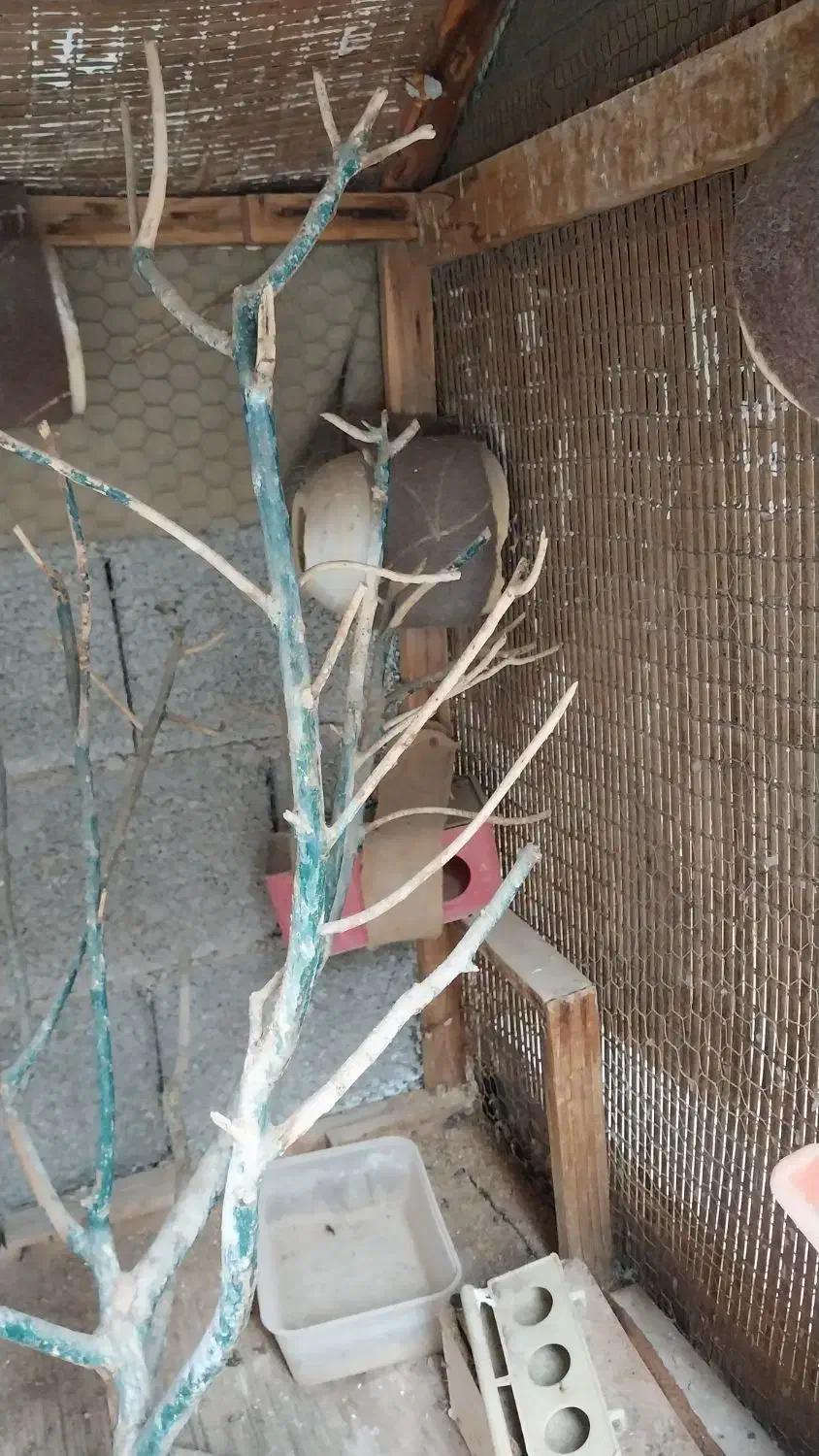 قفس بزرگ|لوازم جانبی حیوانات|برازجان, |دیوار