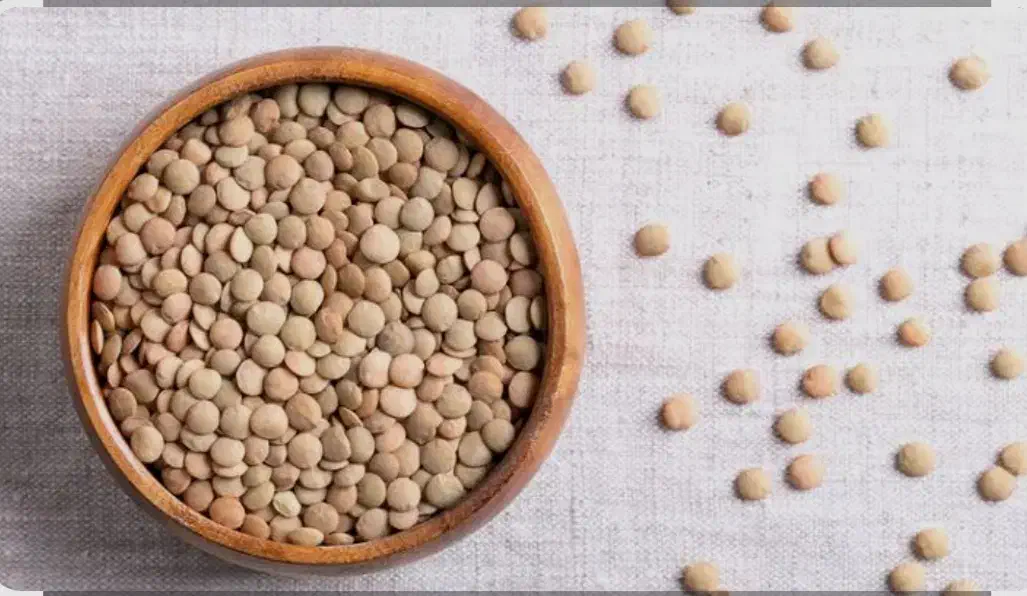 عدسی|عمدهفروشی|کارزان, |دیوار