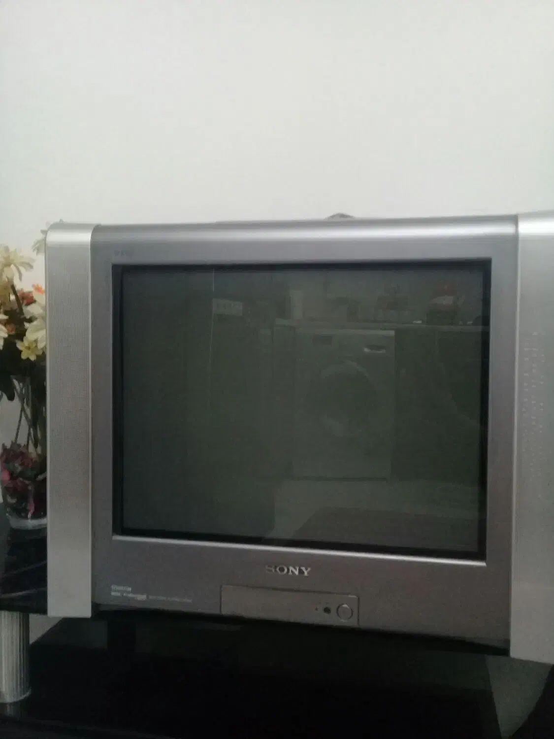 تلویزیون|تلویزیون و پروژکتور|رشت, کوی مهر|دیوار