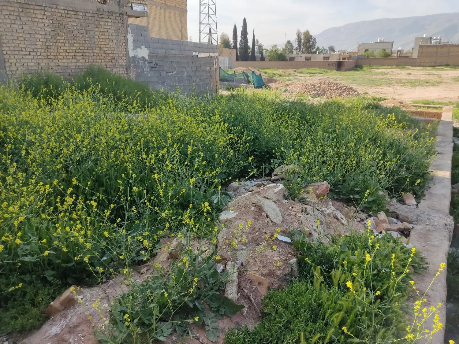 تصویر 2