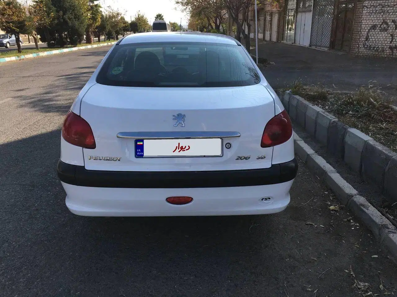206SDv8|خودرو سواری و وانت|بردسکن, |دیوار