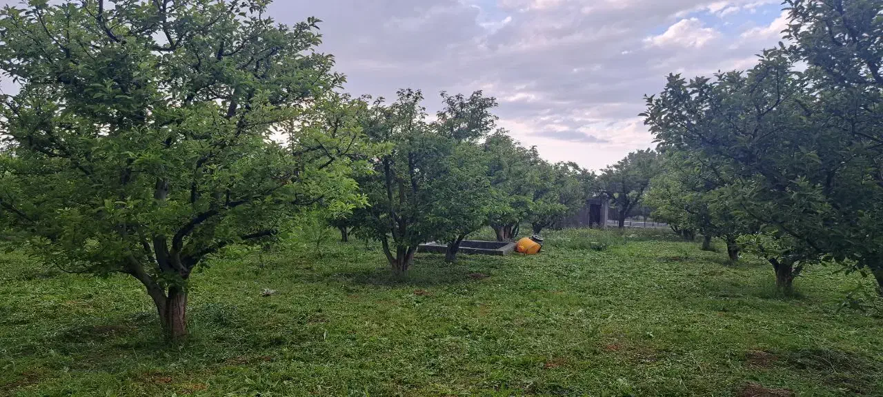 باغ ویلایی|فروش زمین و ملک کلنگی|مشگین شهر, |دیوار