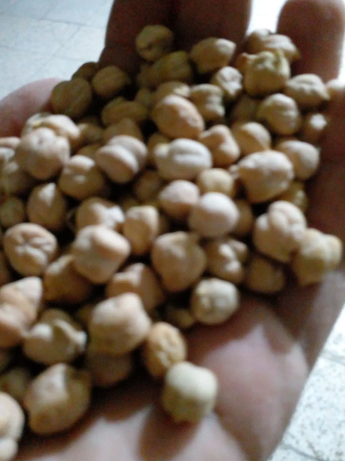 نخود|خوردنی و آشامیدنی|شیروان (لرستان), |دیوار