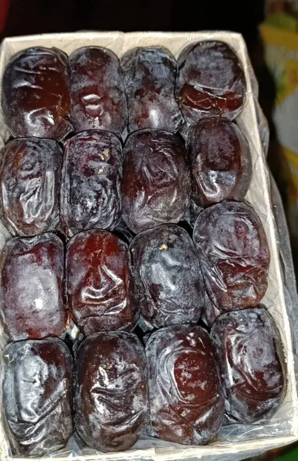 خرما|خوردنی و آشامیدنی|مشهد, مصلی (کارمندان اول)|دیوار