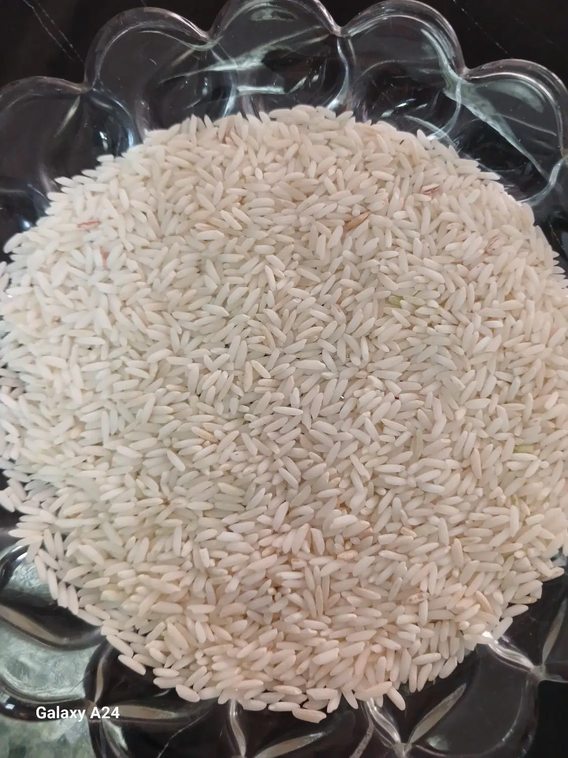 برنج دورود|خوردنی و آشامیدنی|قرچک, شهرک طلائیه|دیوار