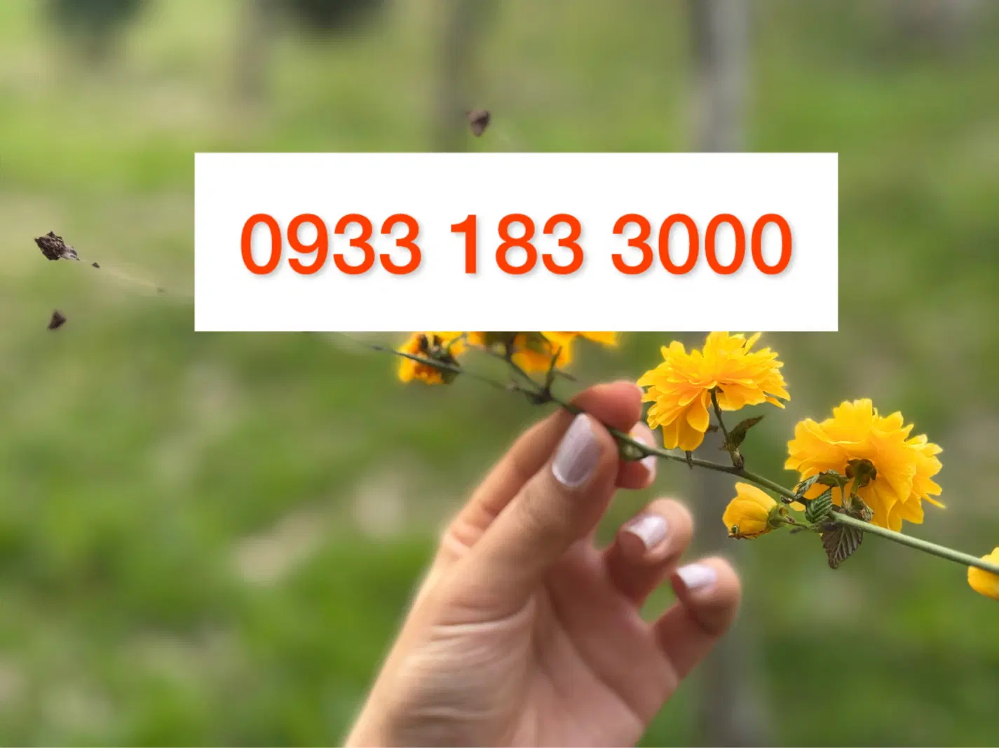 09331833000|سیم‌کارت|تهران, امام حسین|دیوار