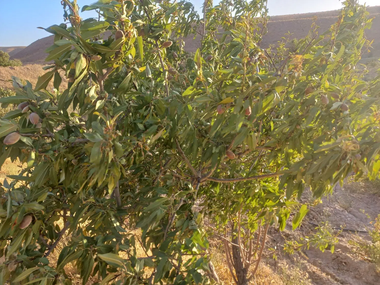 تصویر 2