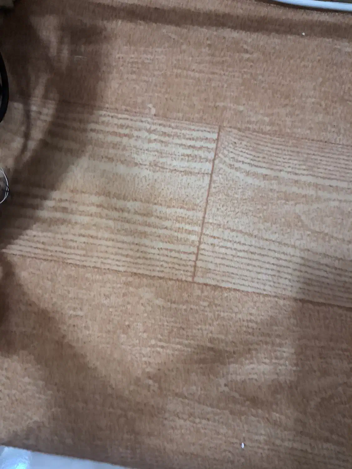 موکت|موکت|سهند, |دیوار