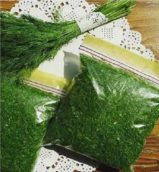 سبزی|خوردنی و آشامیدنی|آبپخش, |دیوار