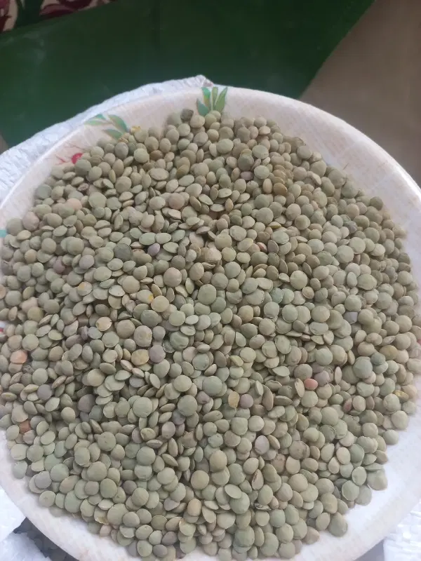 عدس|خوردنی و آشامیدنی|نمین, |دیوار