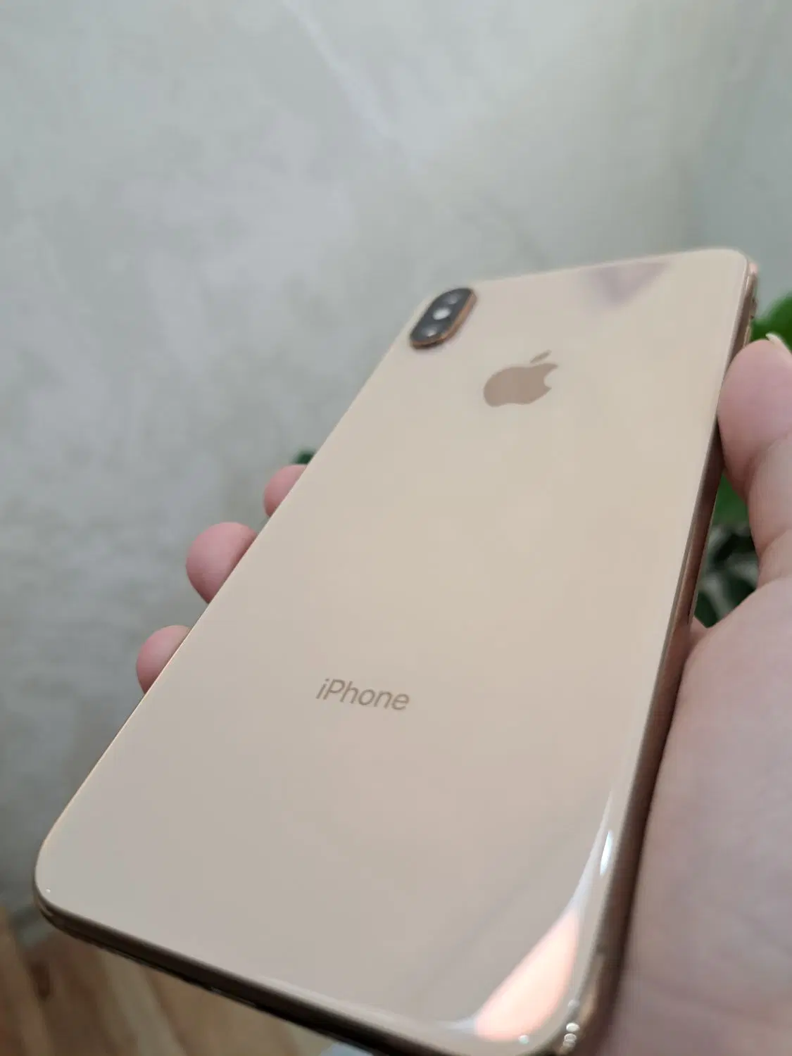 iPhone xs max 256|موبایل|تربت‌حیدریه, مظفریه|دیوار